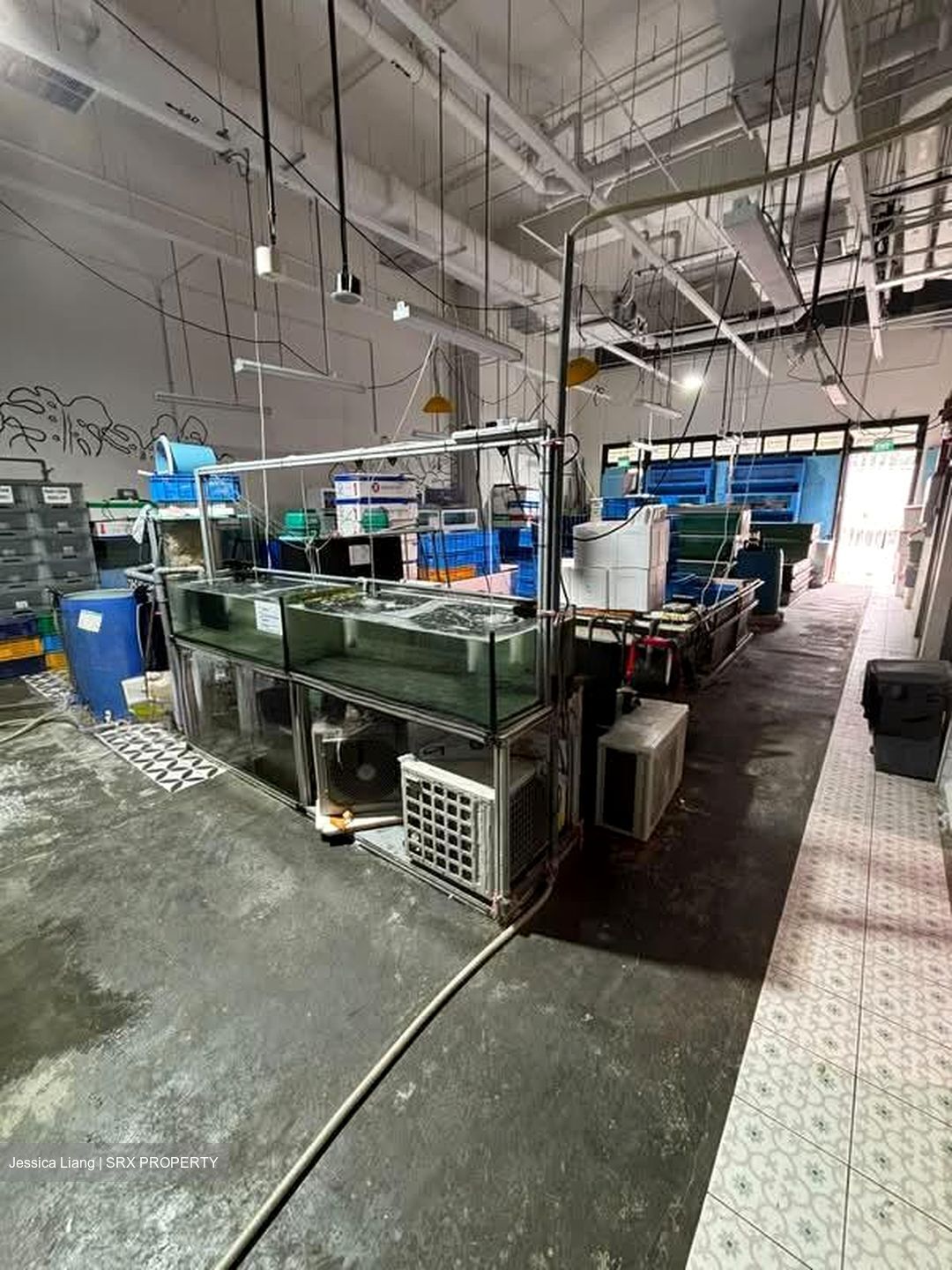 JTC Space @ Tampines North (D18), Warehouse #604750731